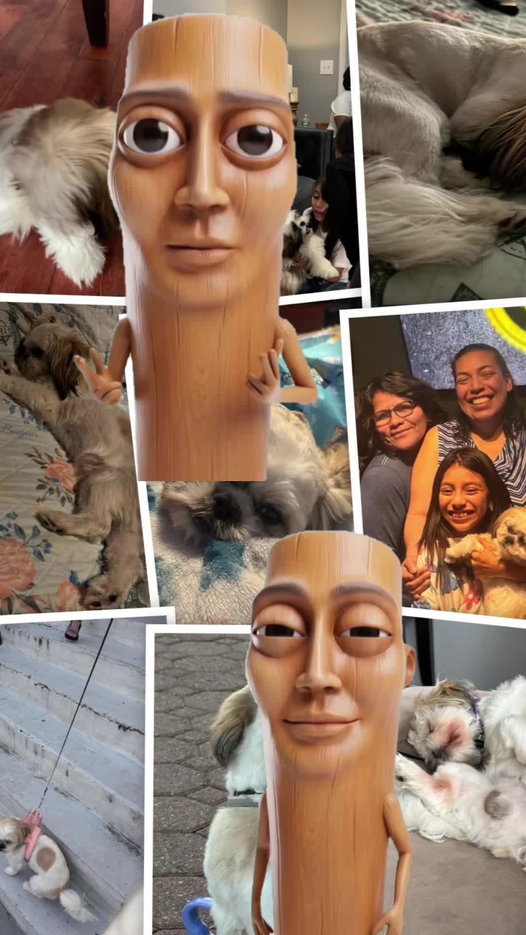 @marianalopez3578