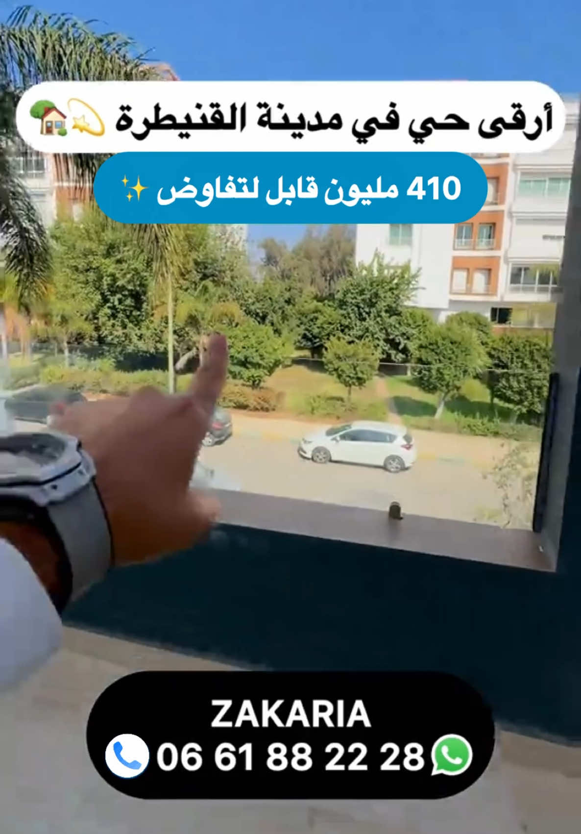 @Zakaria Haddad 🇲🇦🇵🇸
