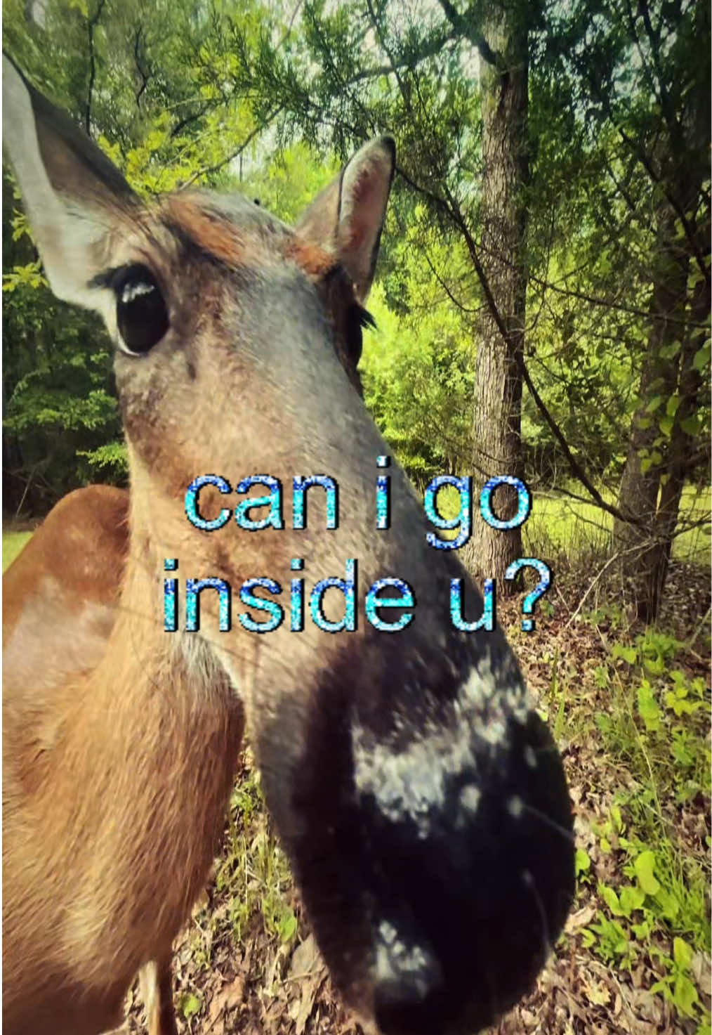 @livinlikedis