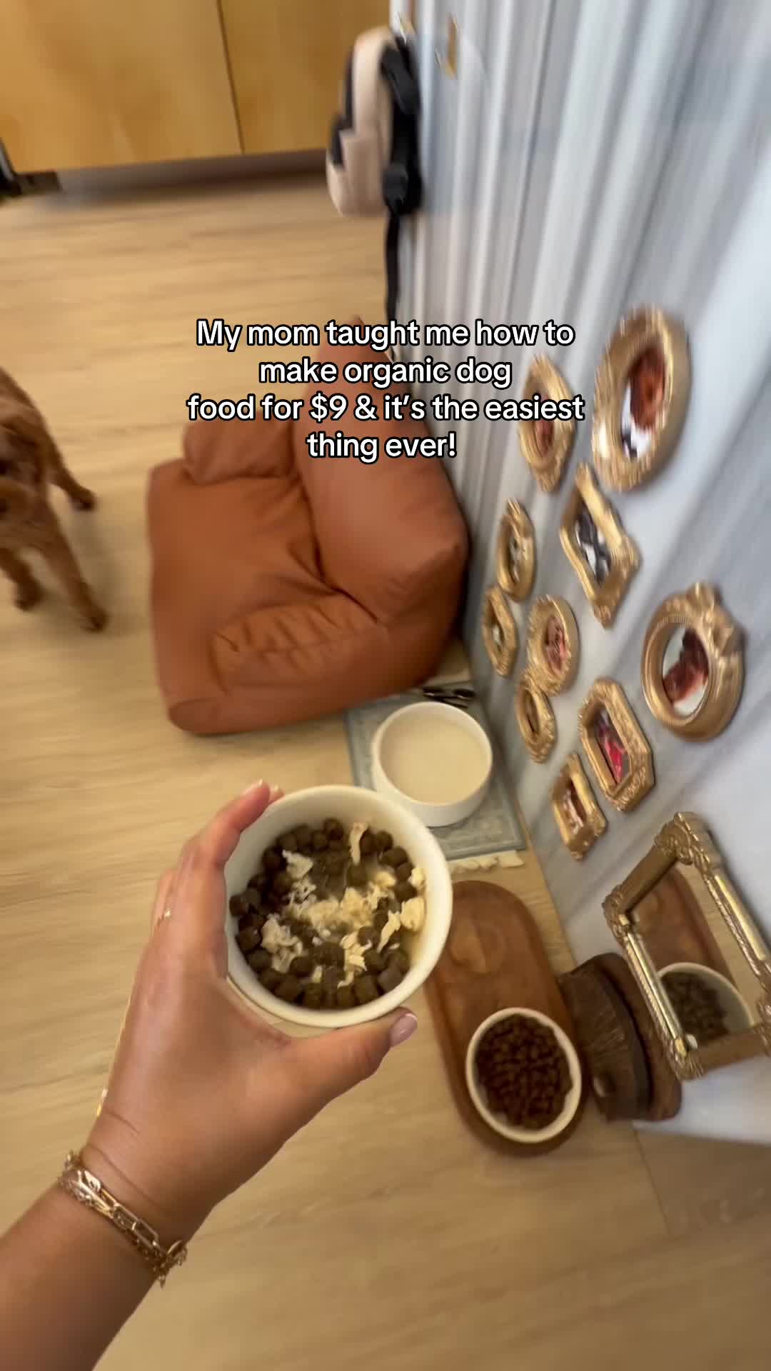 @enzoprincethepup