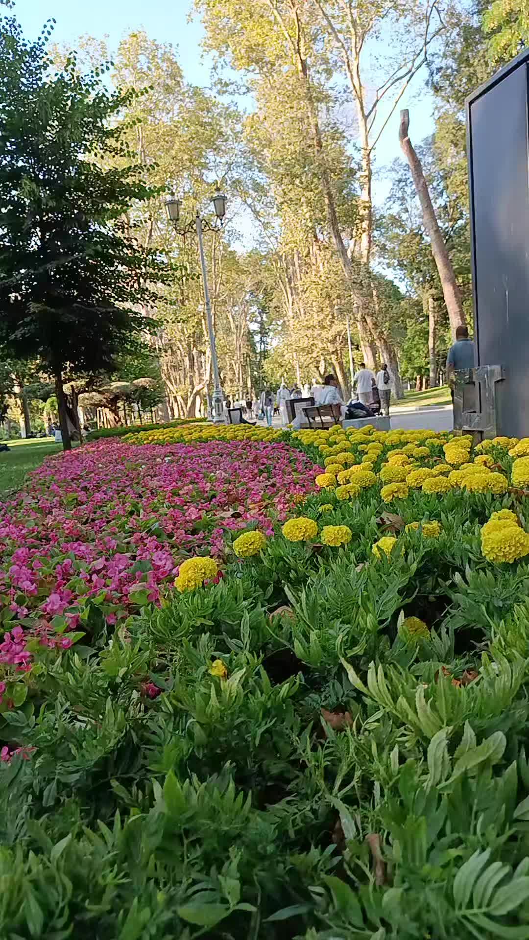 @37 Azdavay Bıyıklı Ali Kemal