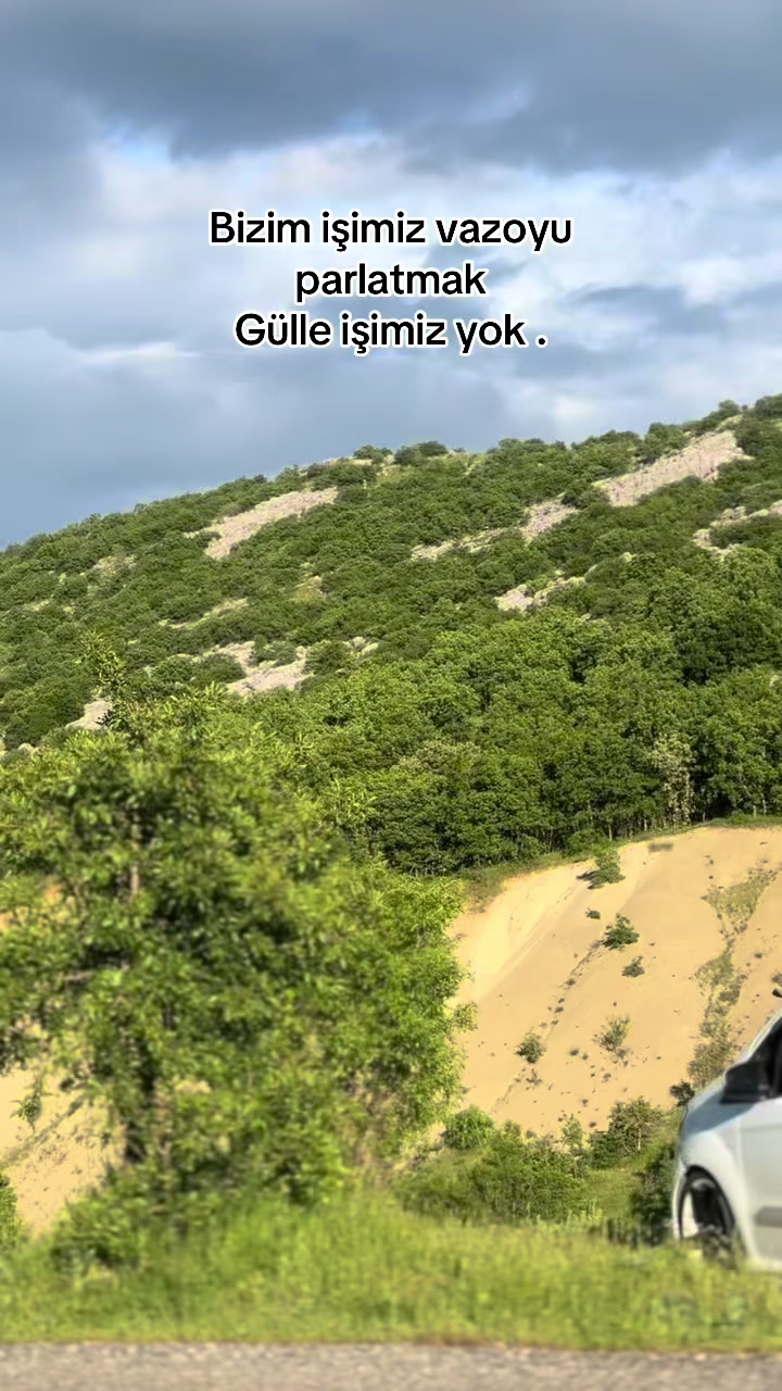 @fswhitewolf21