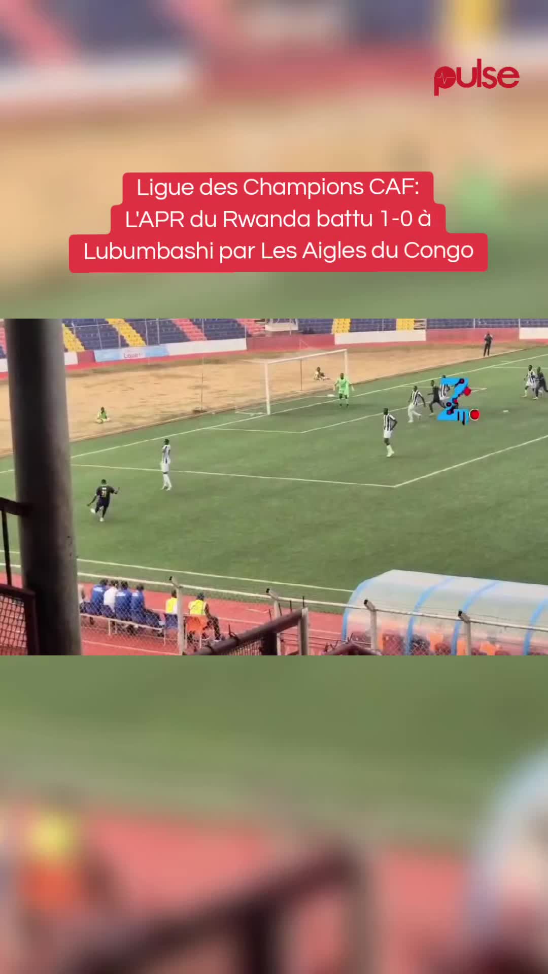 @Pulse Congo