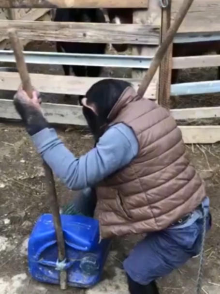 @БУЧ211