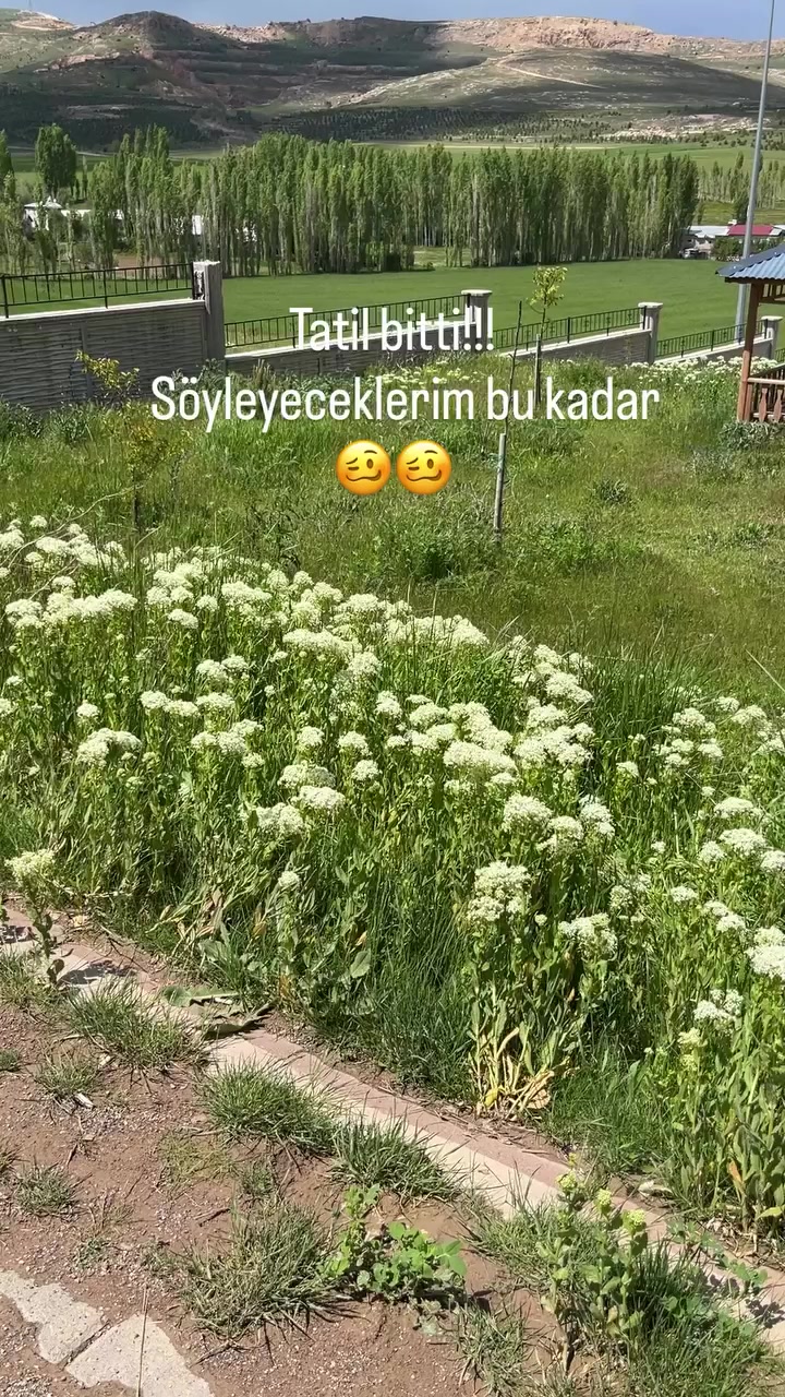 @İlknurca