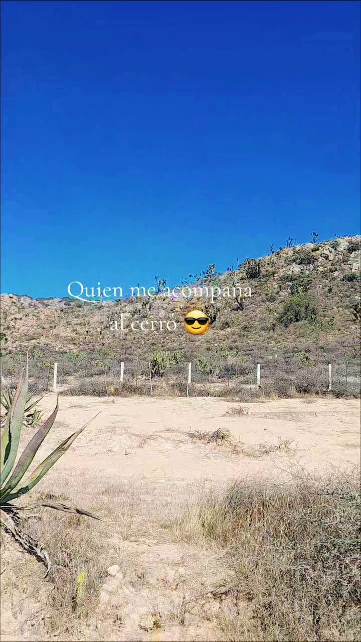 @Lety1996🇲🇽