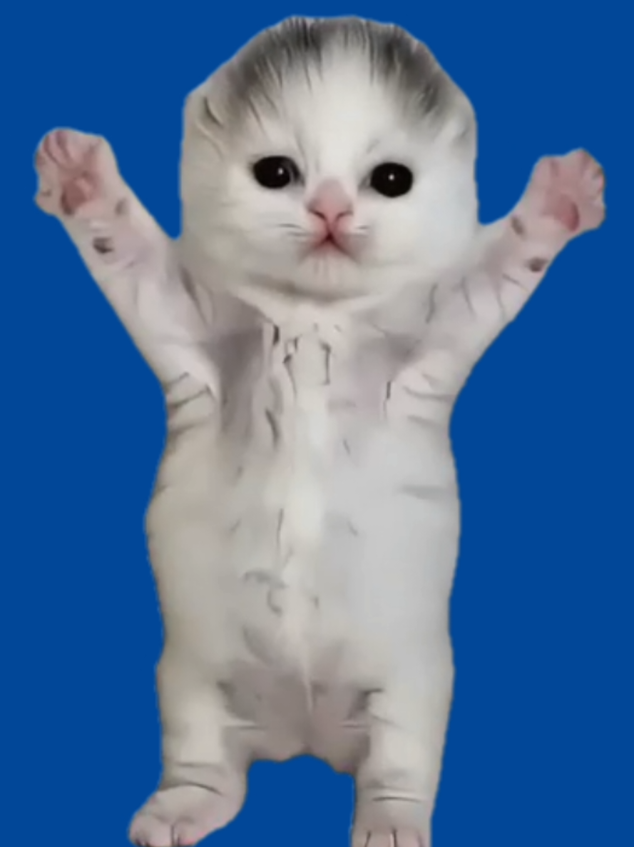 @MemeScreens