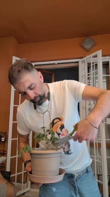@Niko Nicolosi