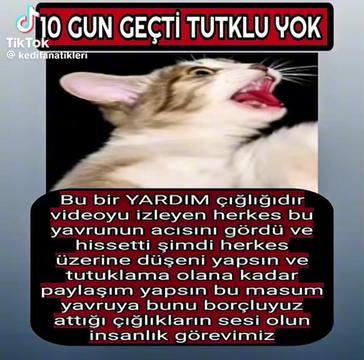 @Yildiz Rizeli 53 34
