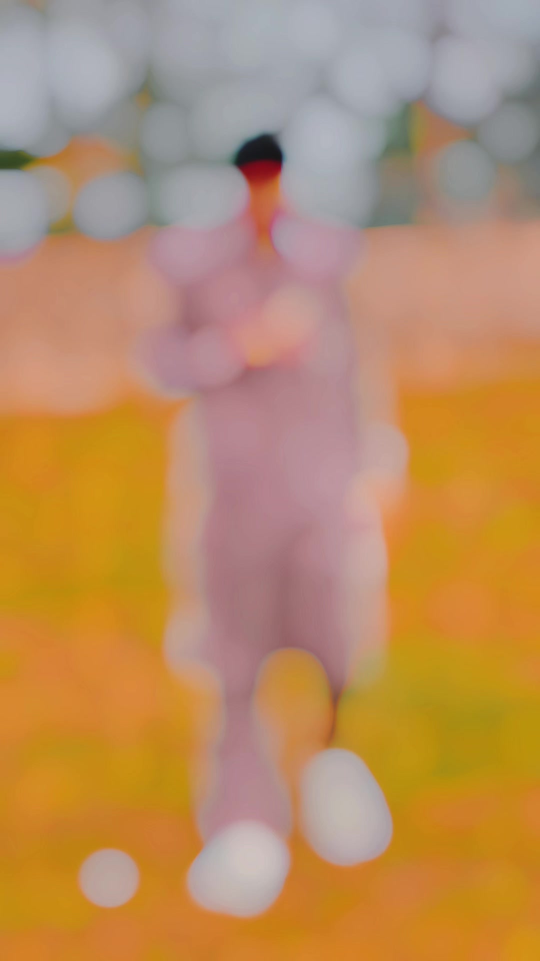 @🚩 M̾ 么 H 么 Ʀ ⚖️