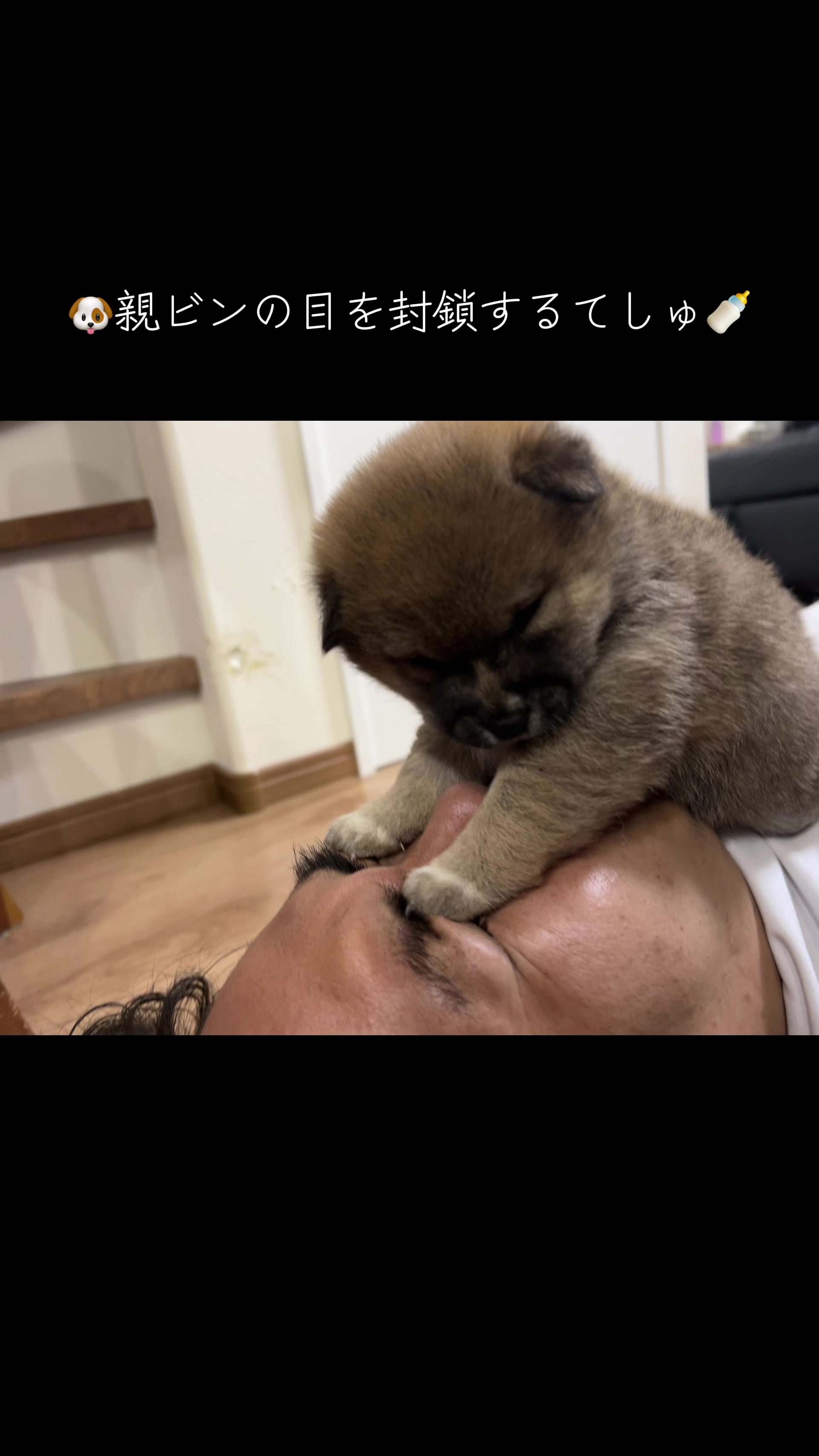 @シャクレ犬