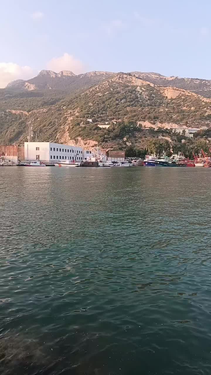 @Özçelik 31