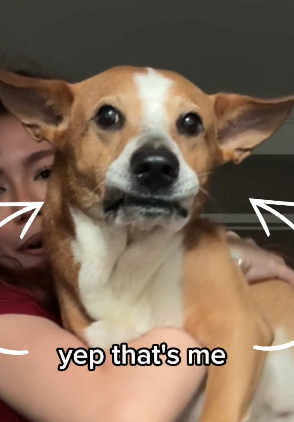 @grainyhalo