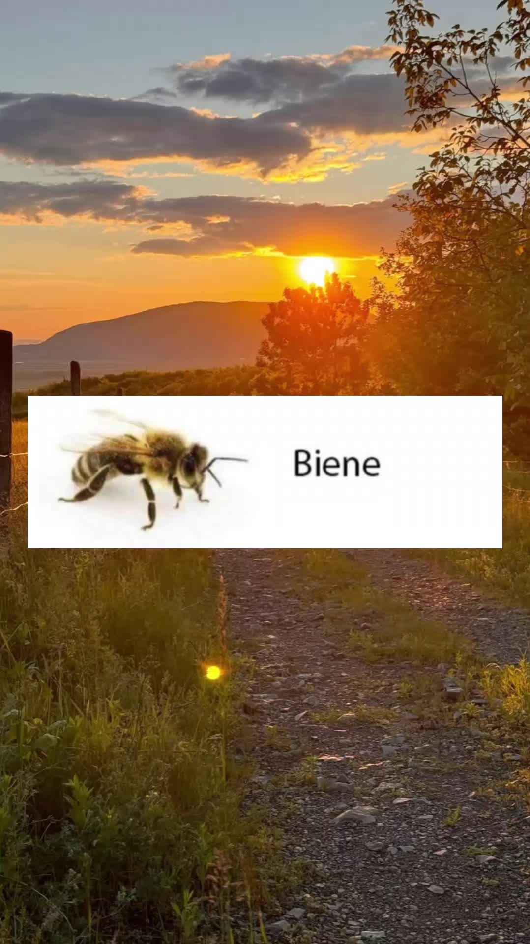 @einfach nur ich❤️🤪🤗