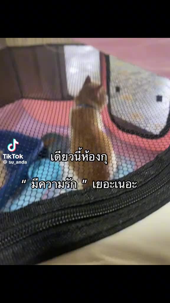 @เจ็บไม่จำ ขอซ้ำอีกที😝