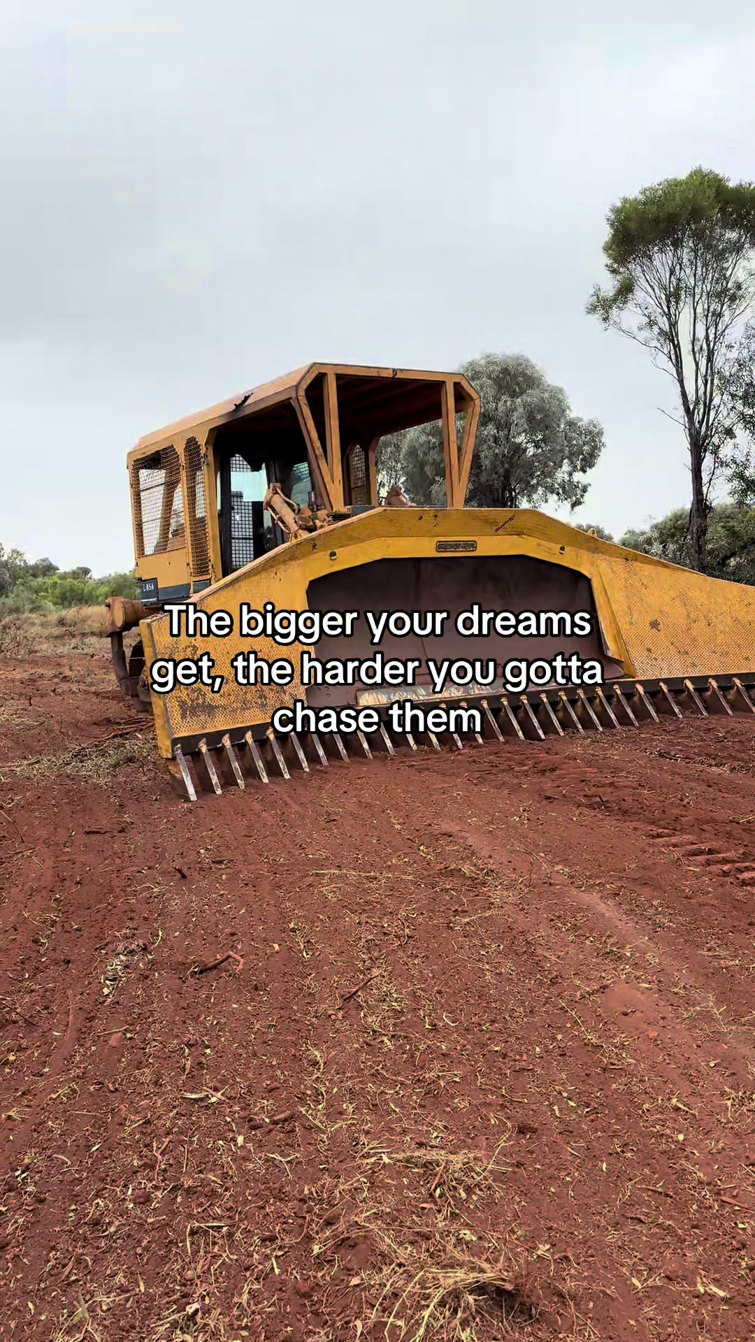 @CQ Acres