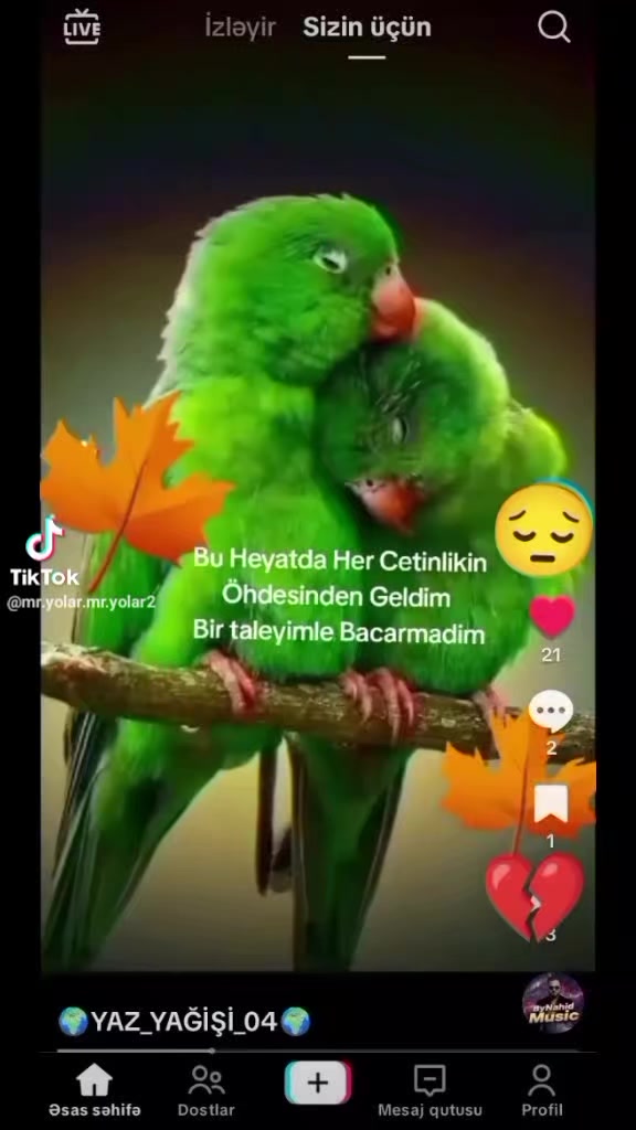 @yetim qiz