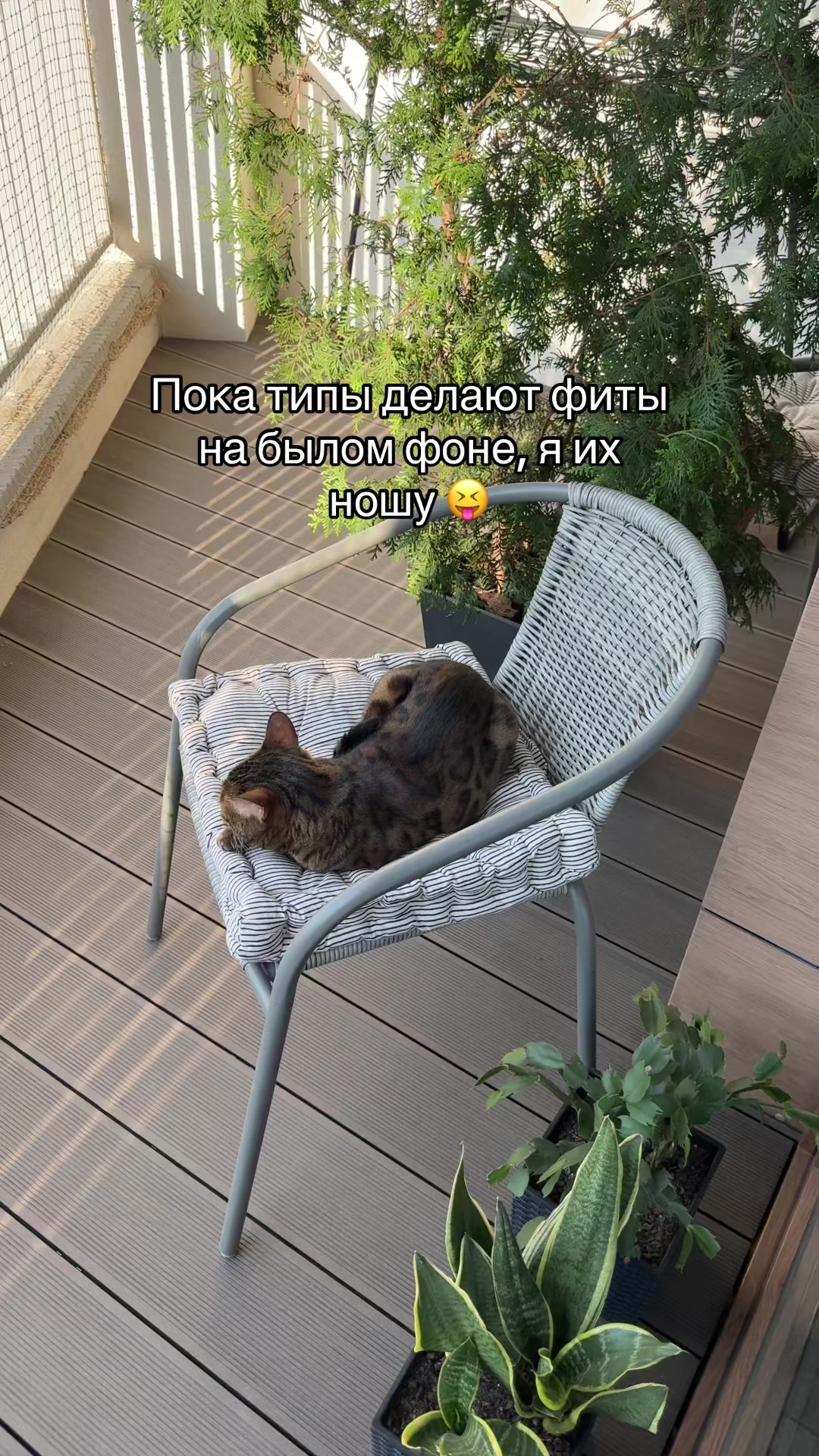 @лешка