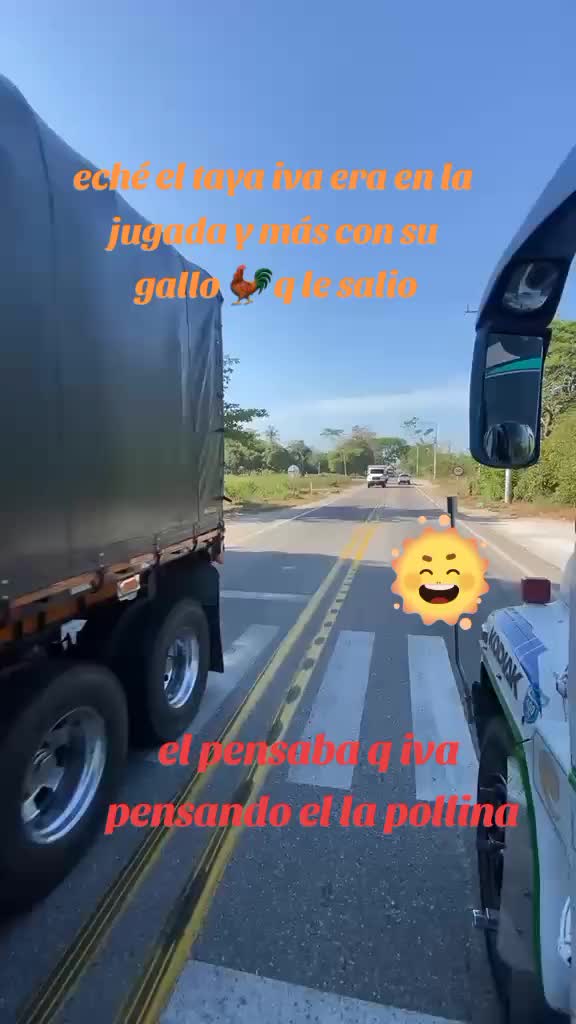 @el taya