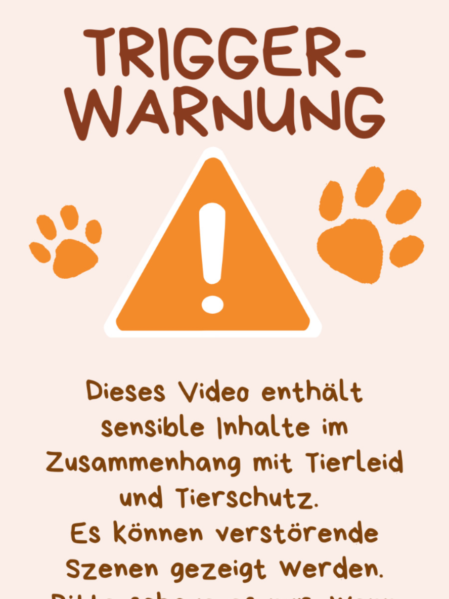 @Hundehilfe Bakony e.V.