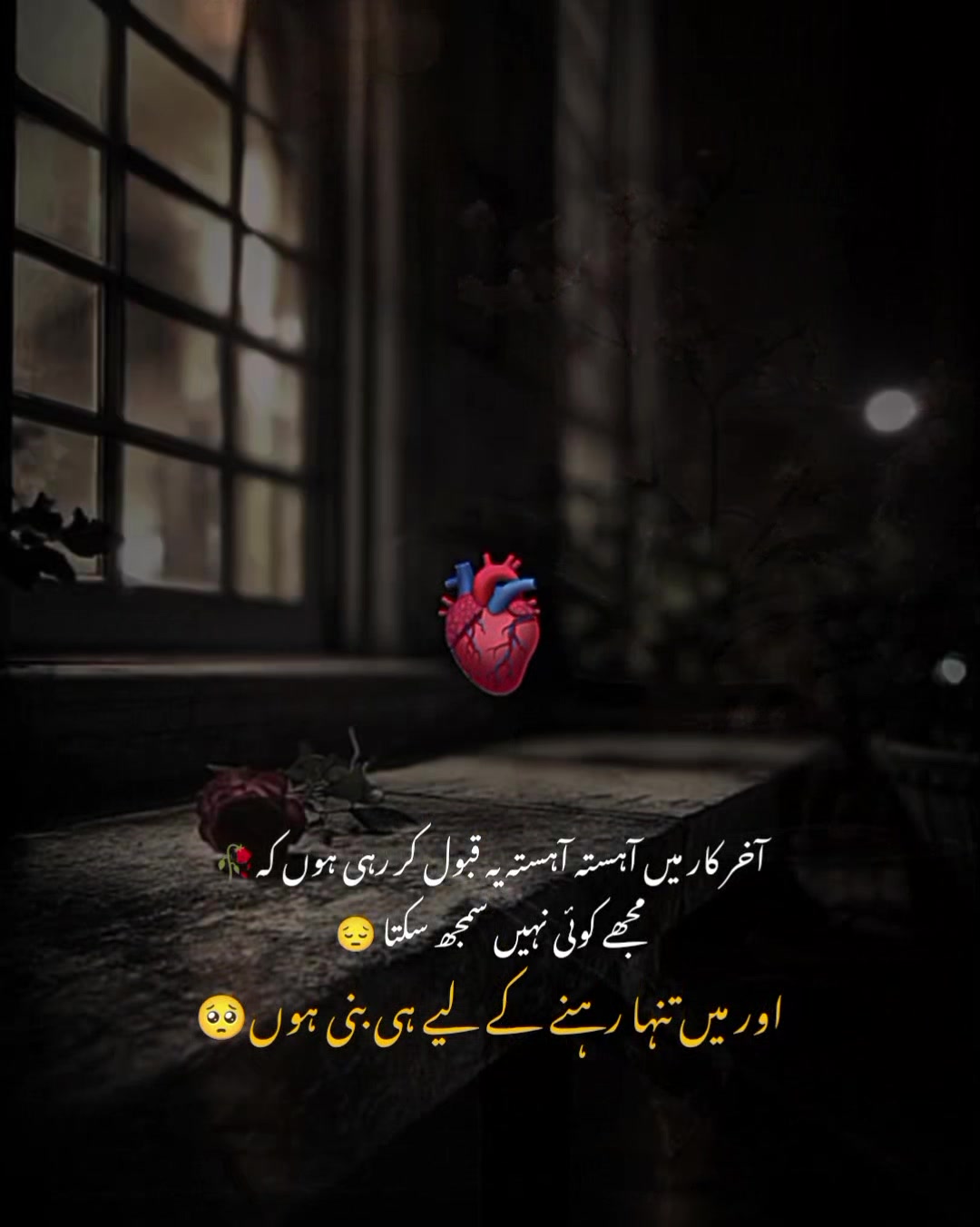 @MrS ArSaLaN♥️