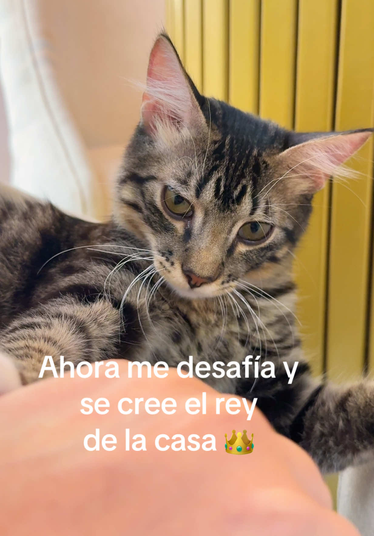 @Thalía Alejandra