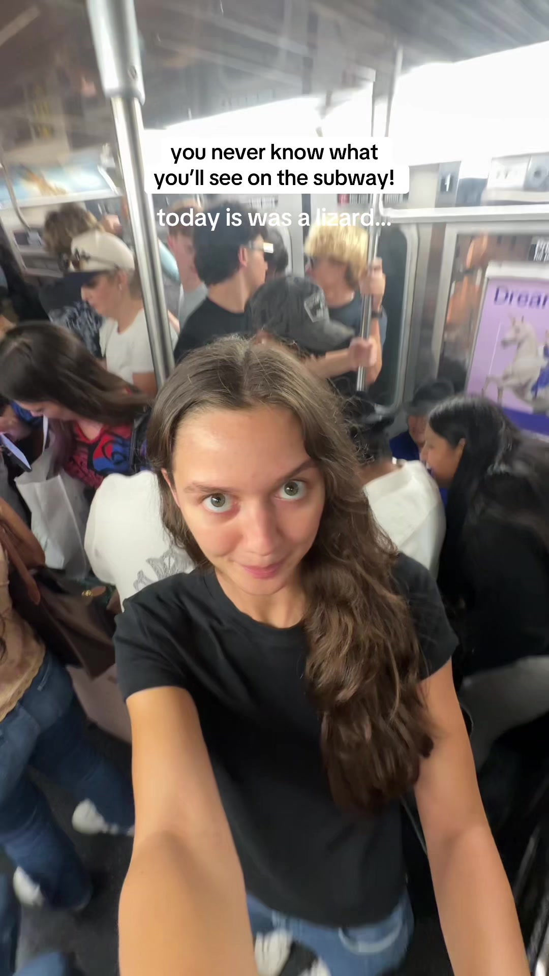 @LILLY CATHERINEE