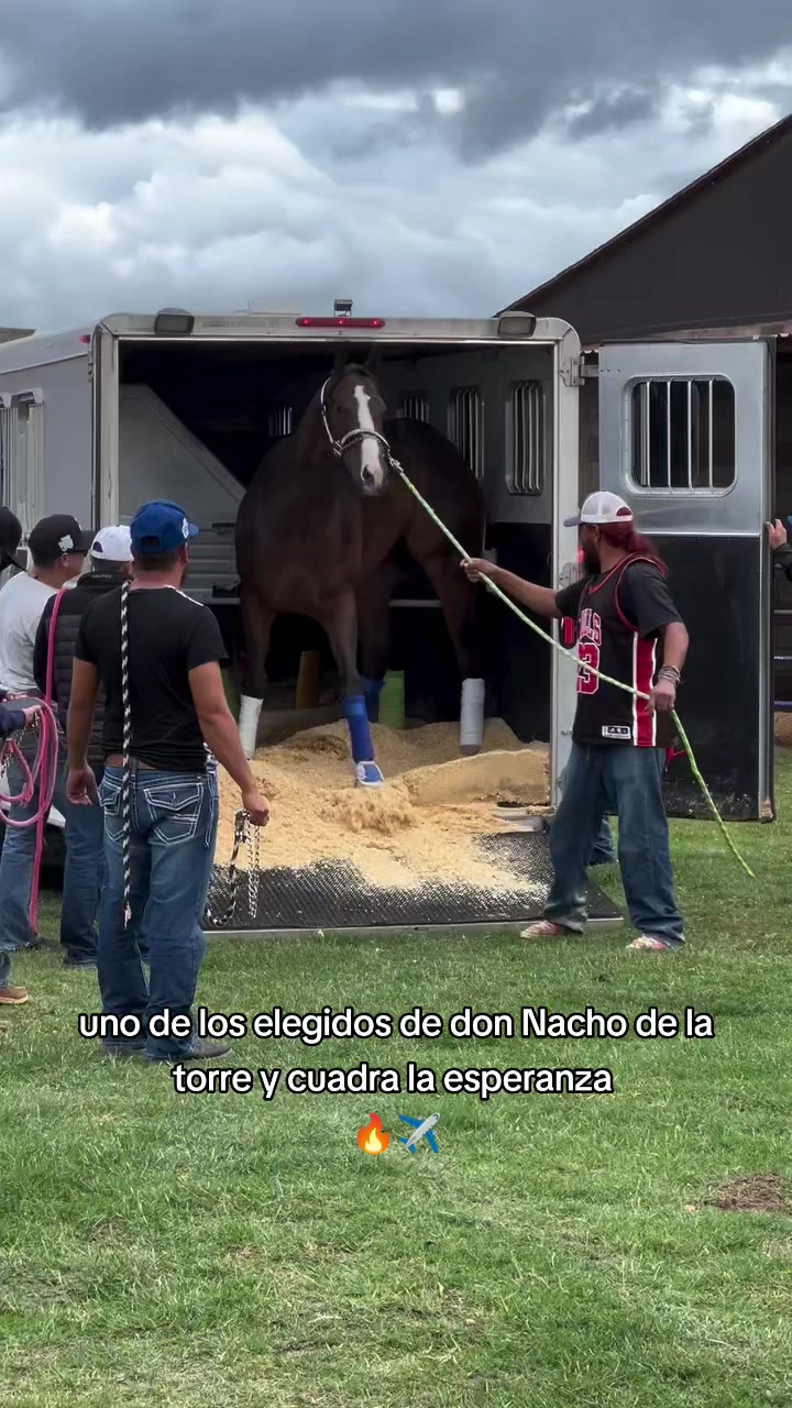 @carriles altos de jalisco🐎