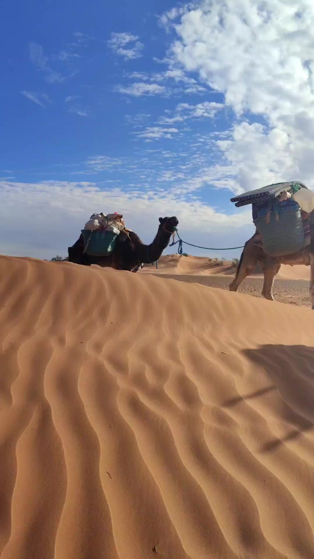 @goadventures-morocco