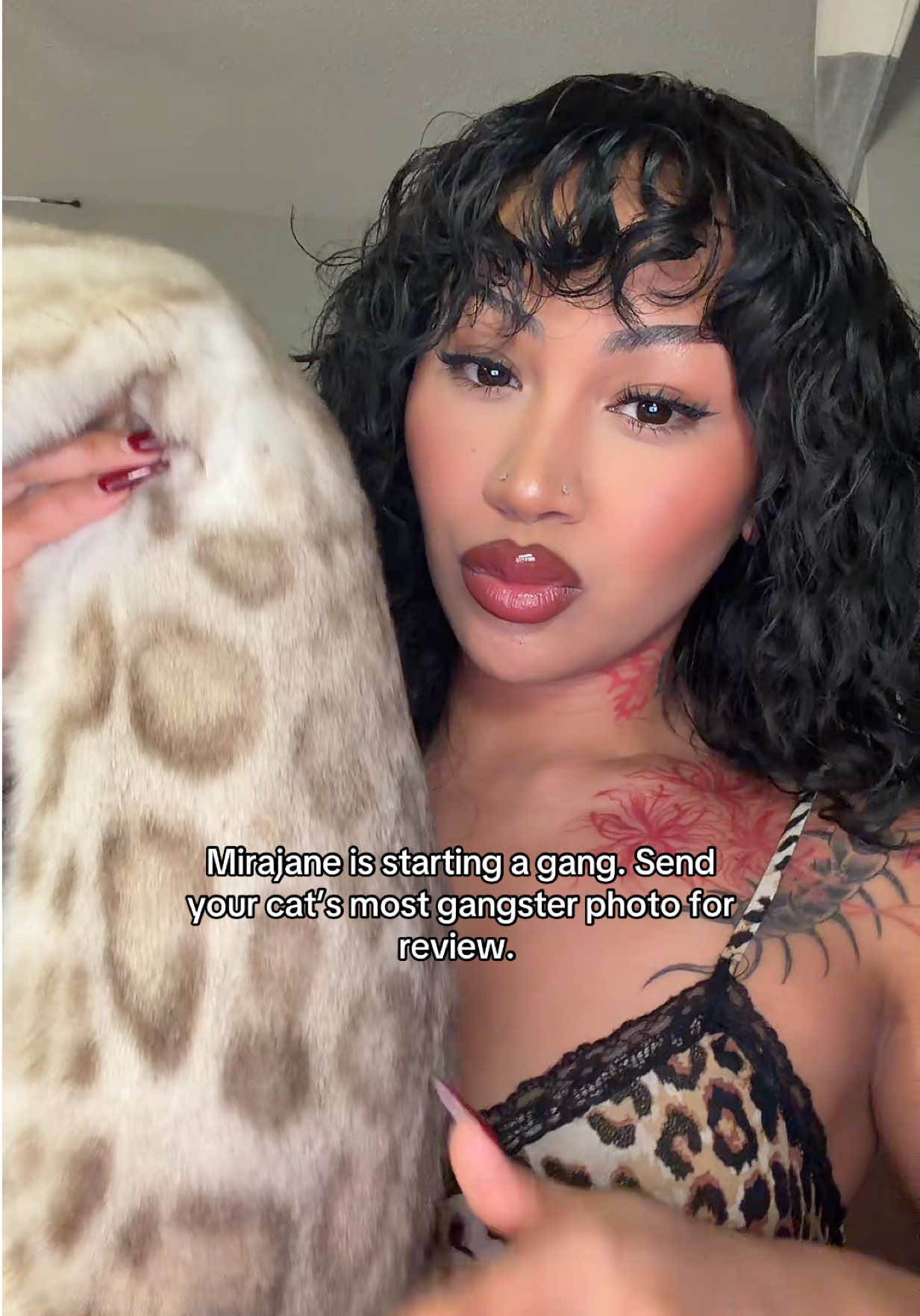 @Mirajane The Bengal🐾
