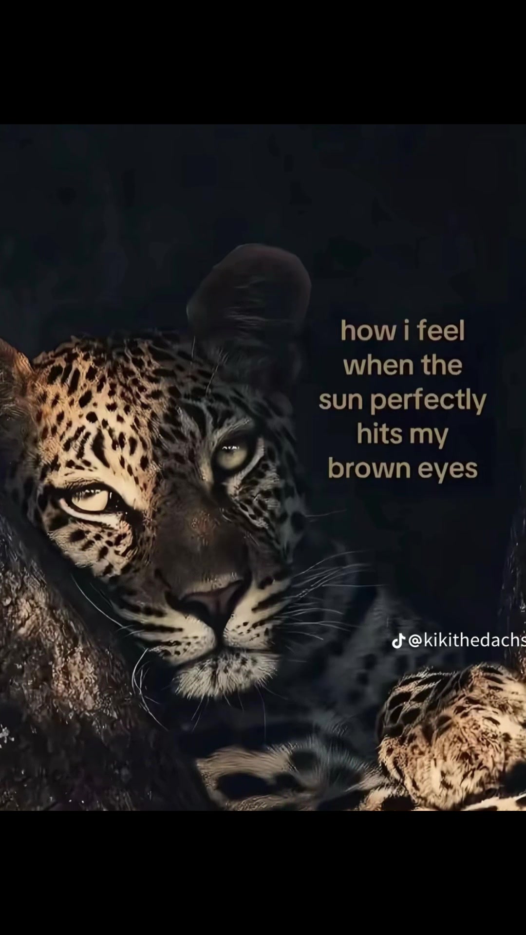 @Adison