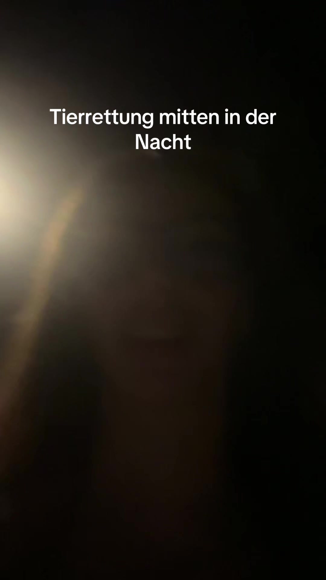 @Pialein_