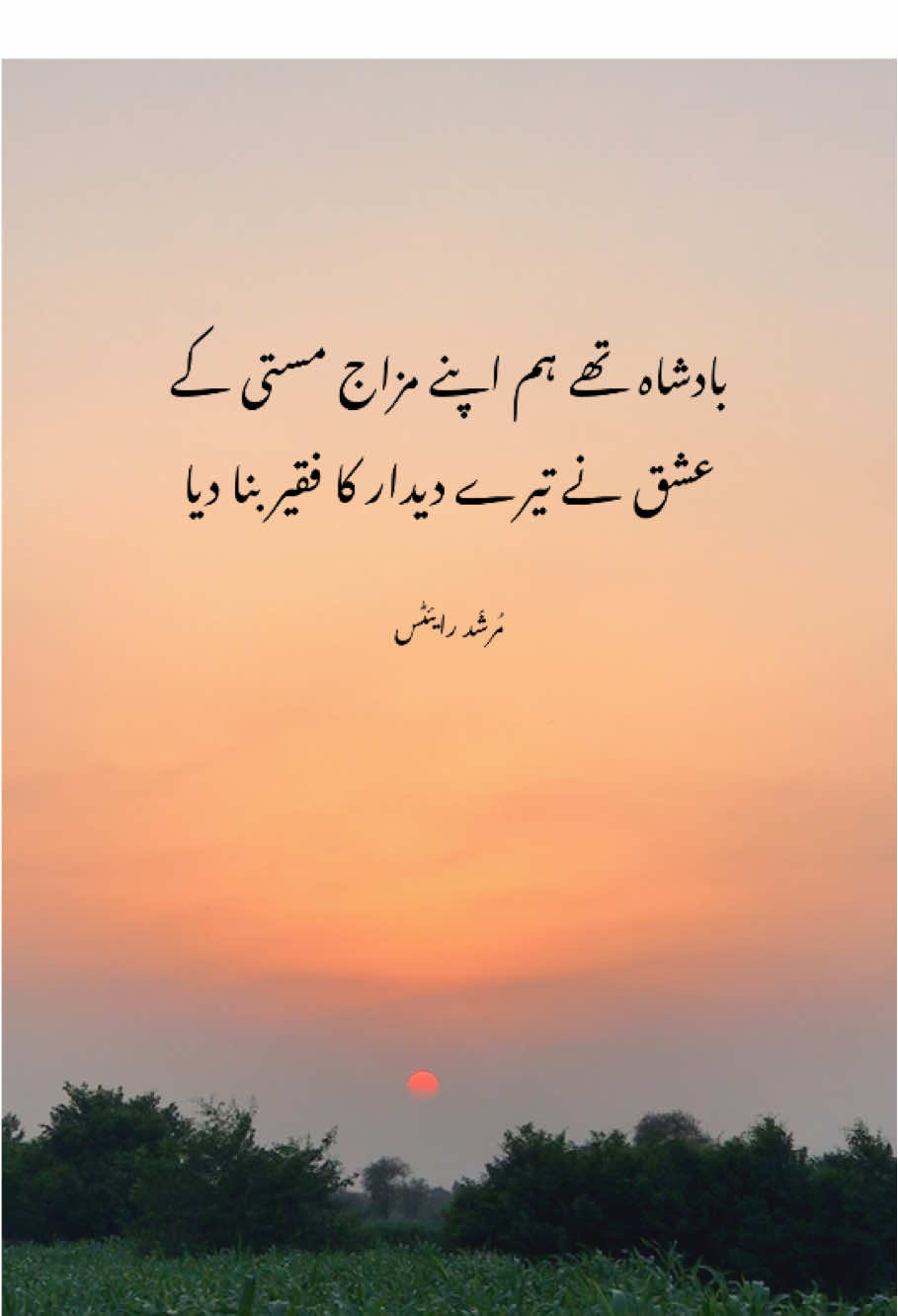 @⚜️MurShaD write’s⚜️