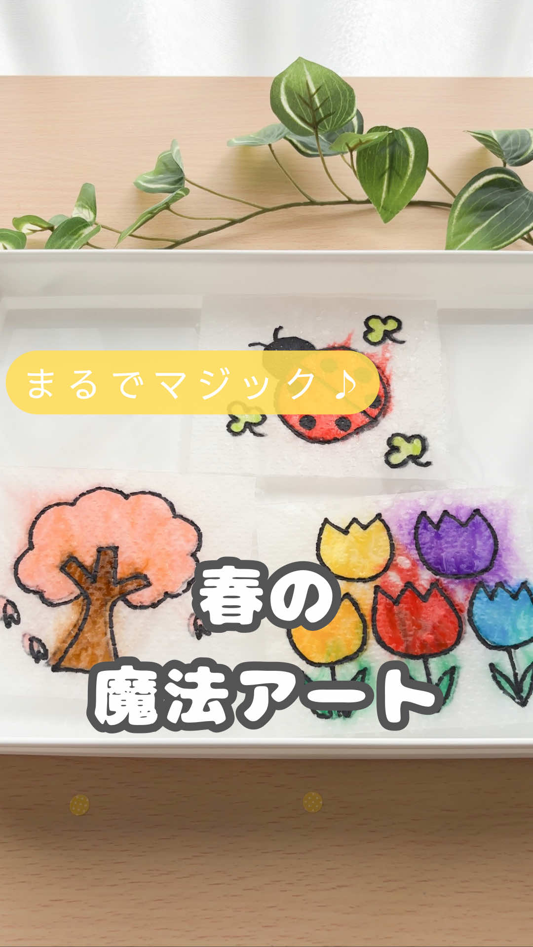 @ゆっぴー先生|おうちで簡単あそび術🎨