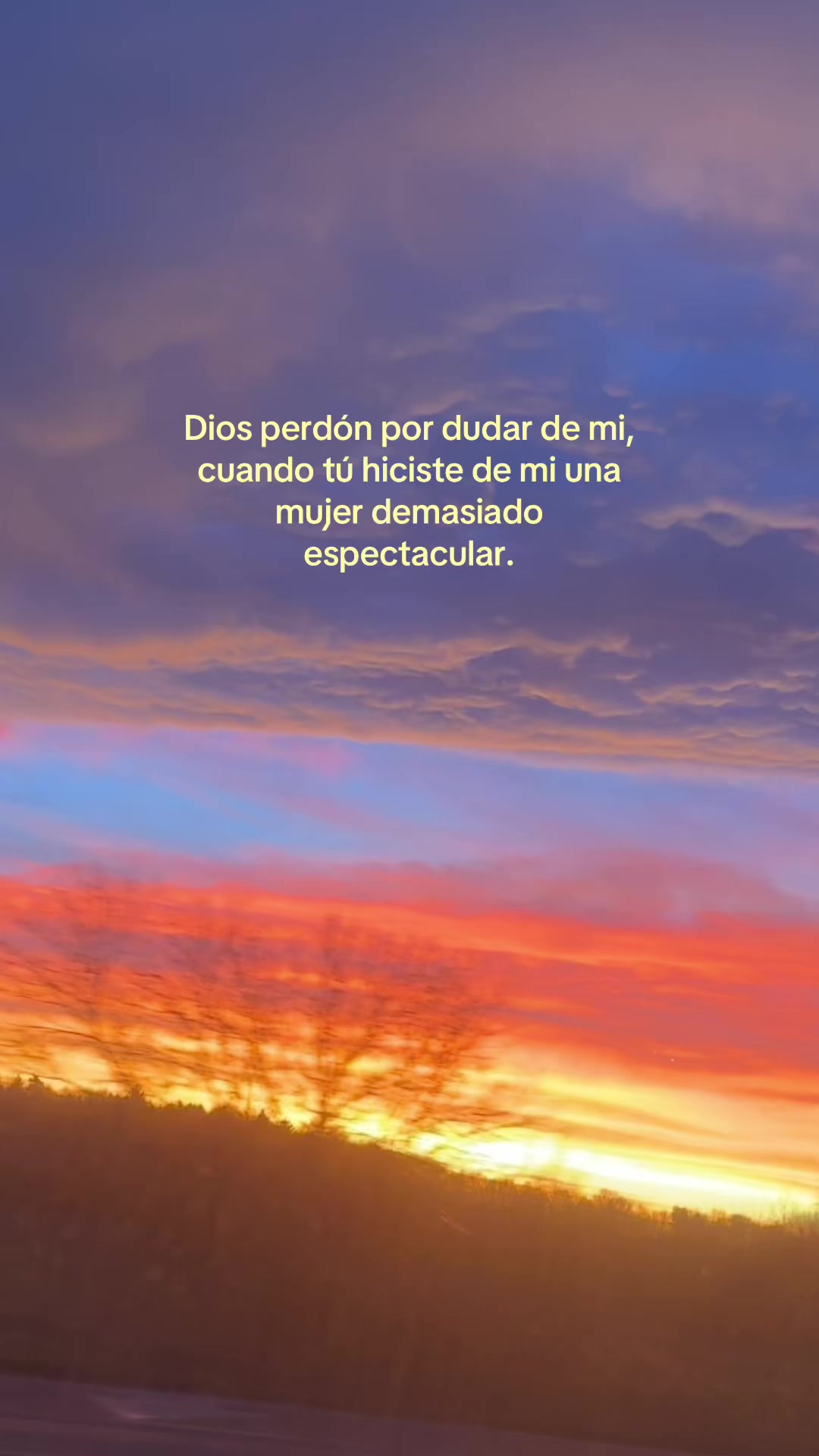 @lufer❣️🇨🇴🇵🇱❤️🩹❤️🤍