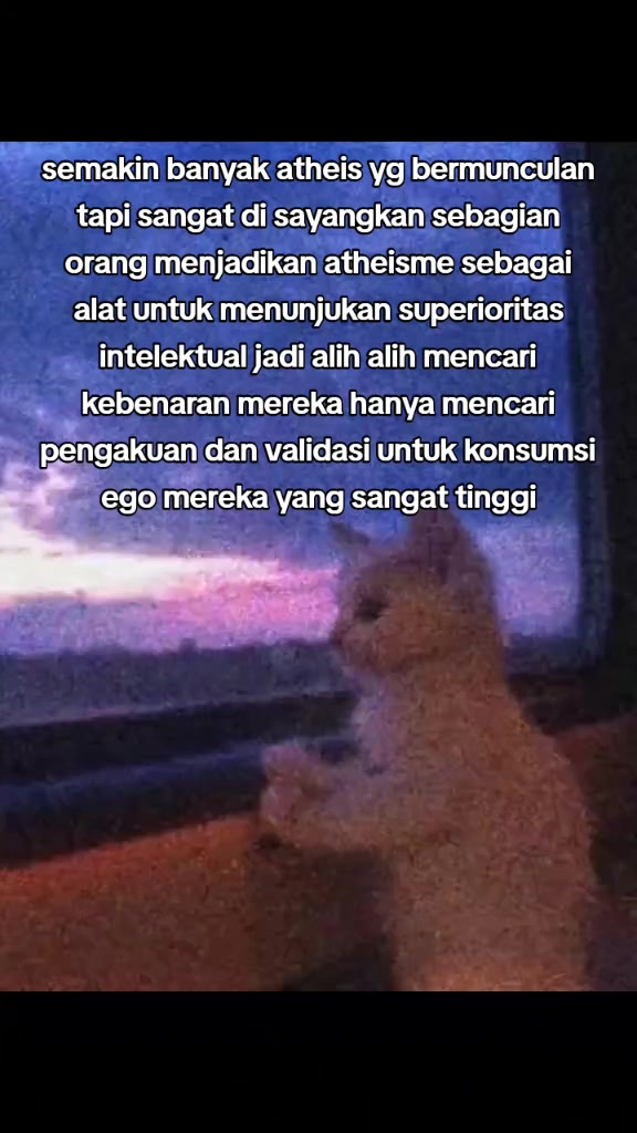 @mimoy