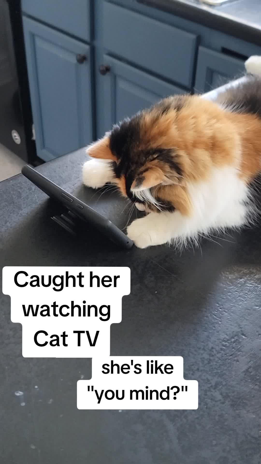 @CatCraze
