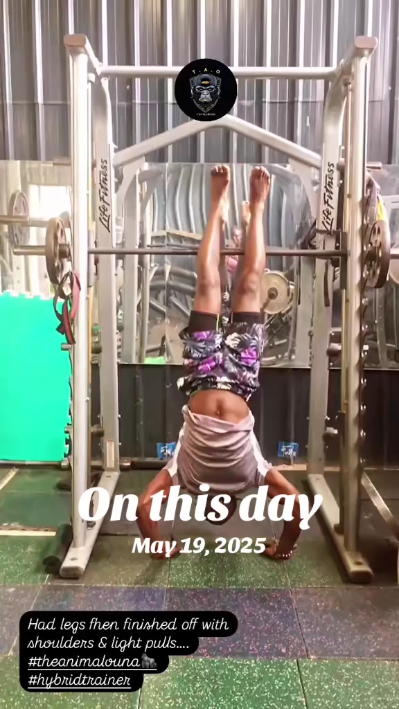 @TheAnimalOuna🦍…