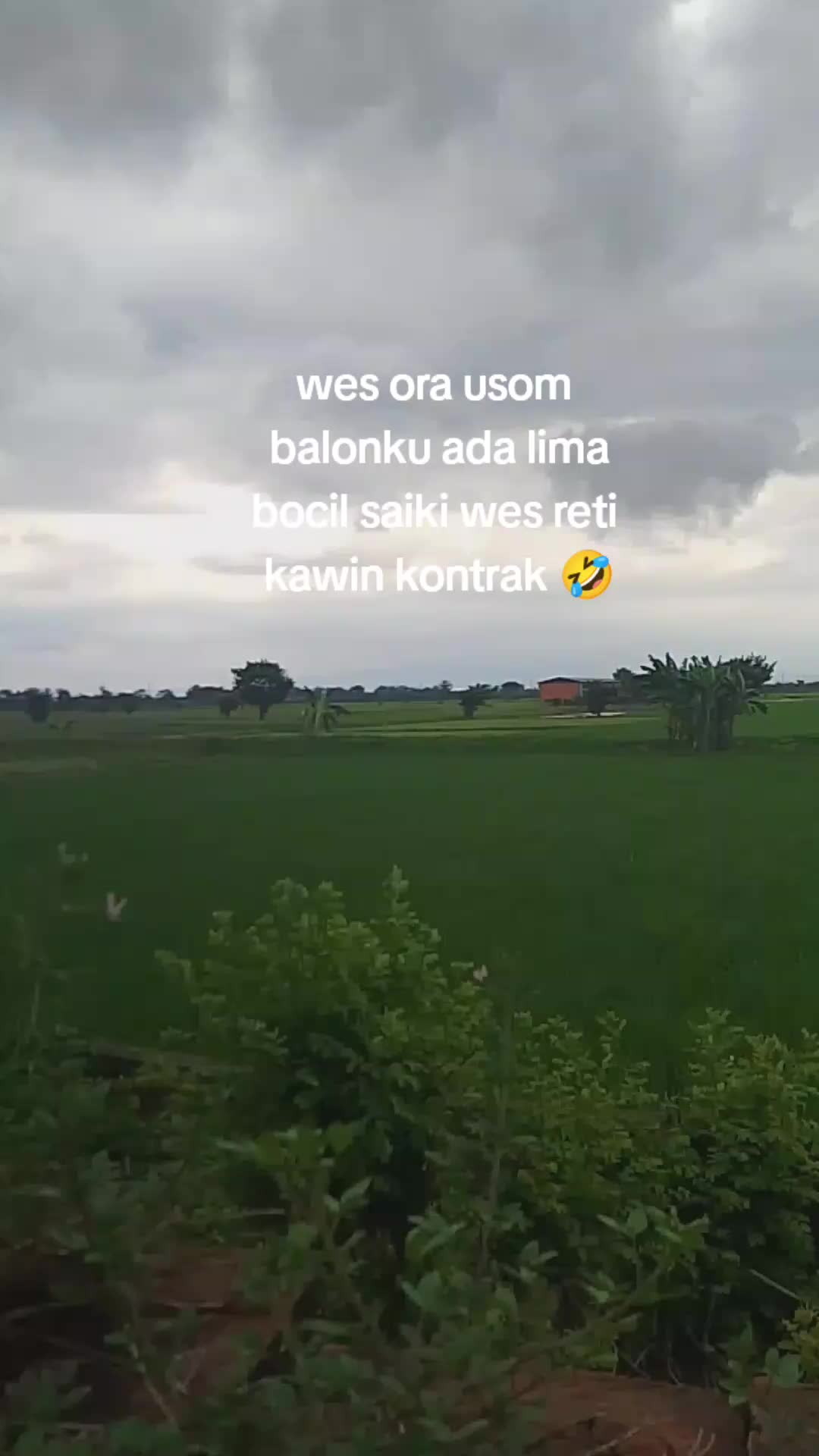 @𝙈𝘼𝙎 𝙍𝙀𝙃𝘼𝙉