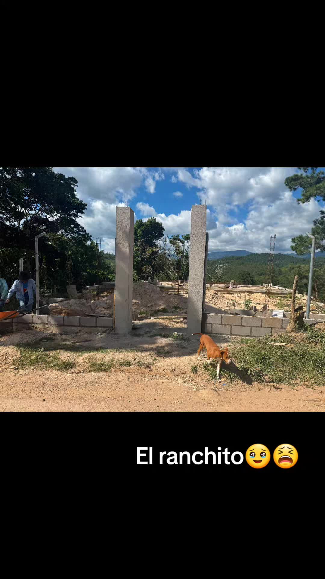 @🥰Ali🙌🌻 Yoli