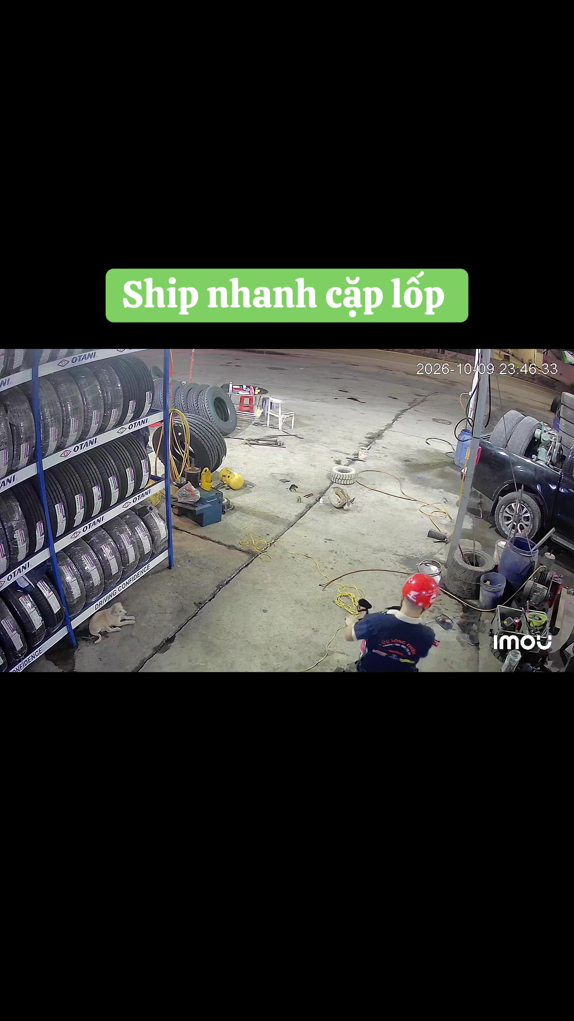 @Cửu Long Thiên