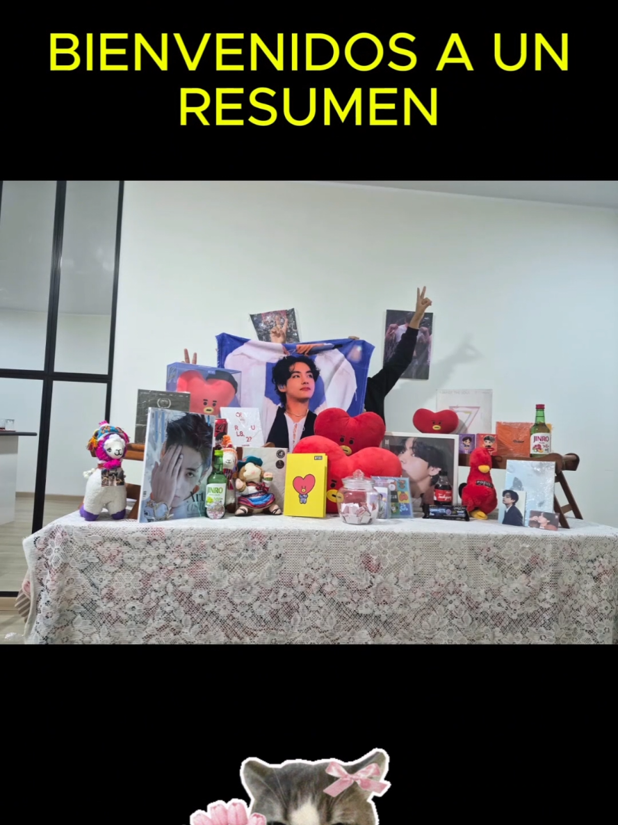 @V Support Perú