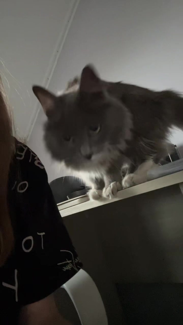 @марь?