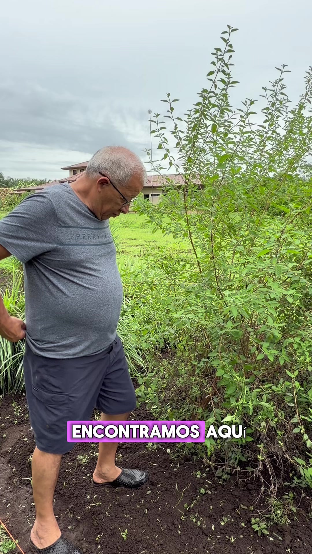 @507experiencia