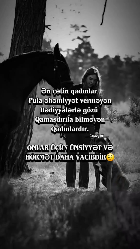 @⚜️𝙎𝙀𝙑𝙂İ𝙈⚜️