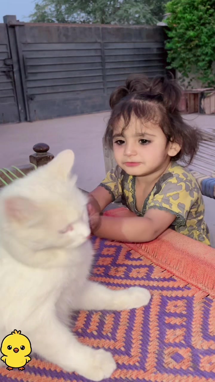 @𝗜𝗗𝗥𝗘𝗘𝗦 𝗢𝗙𝗙𝗜𝗖𝗜𝗔𝗟