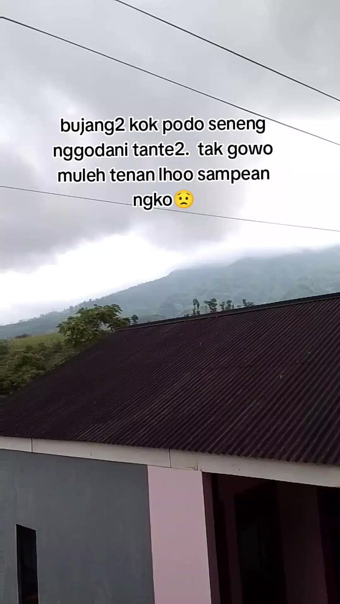 @ismy