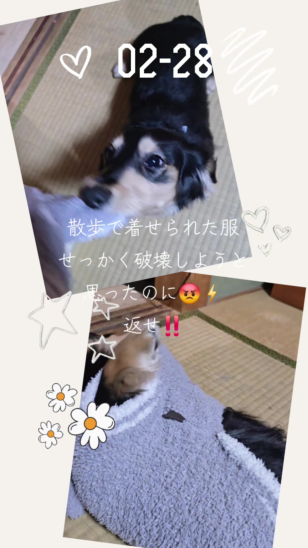 @hiro110