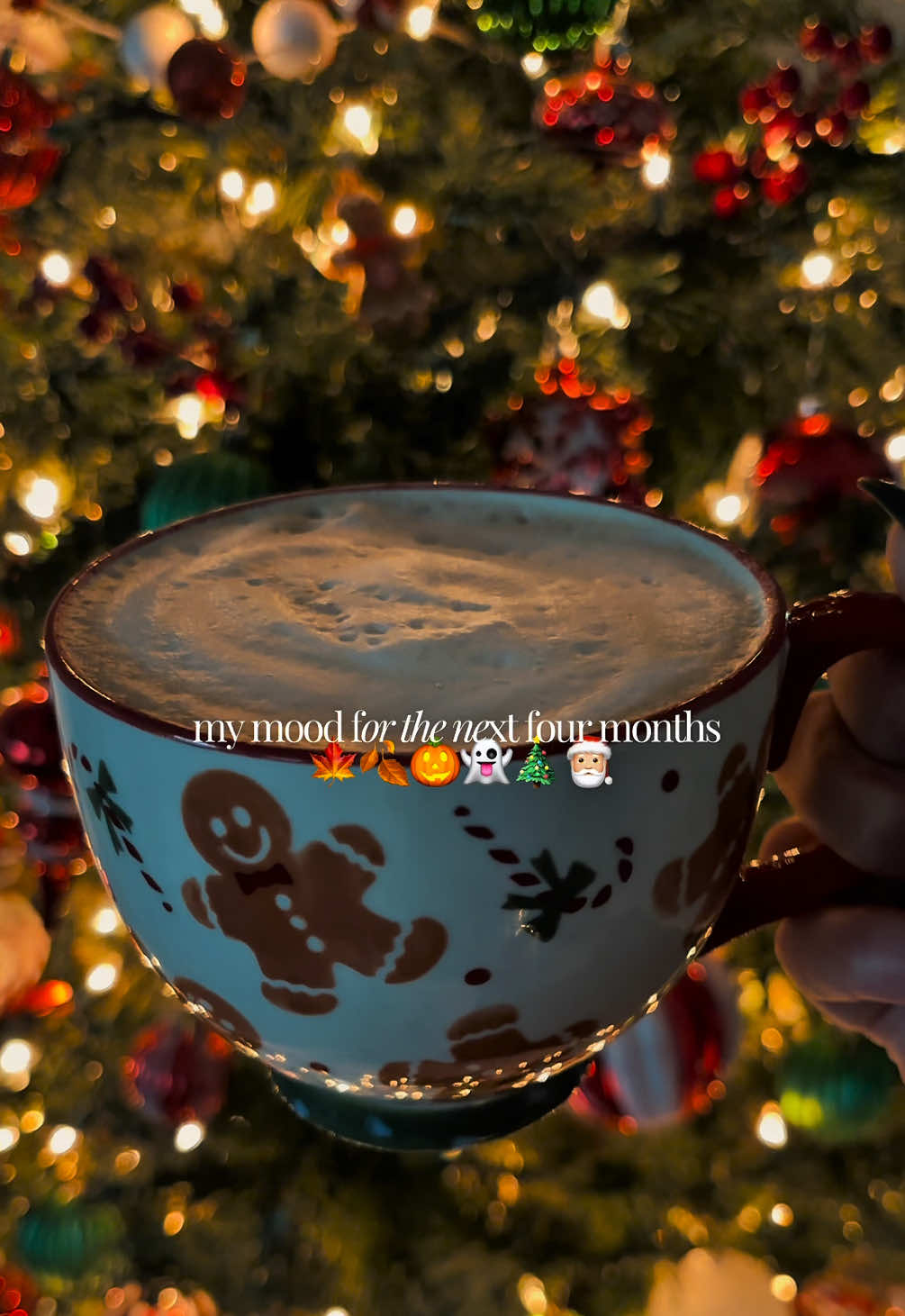 @Eternally.Cozy ๐โ๏ธ๐ฏ๏ธ๐