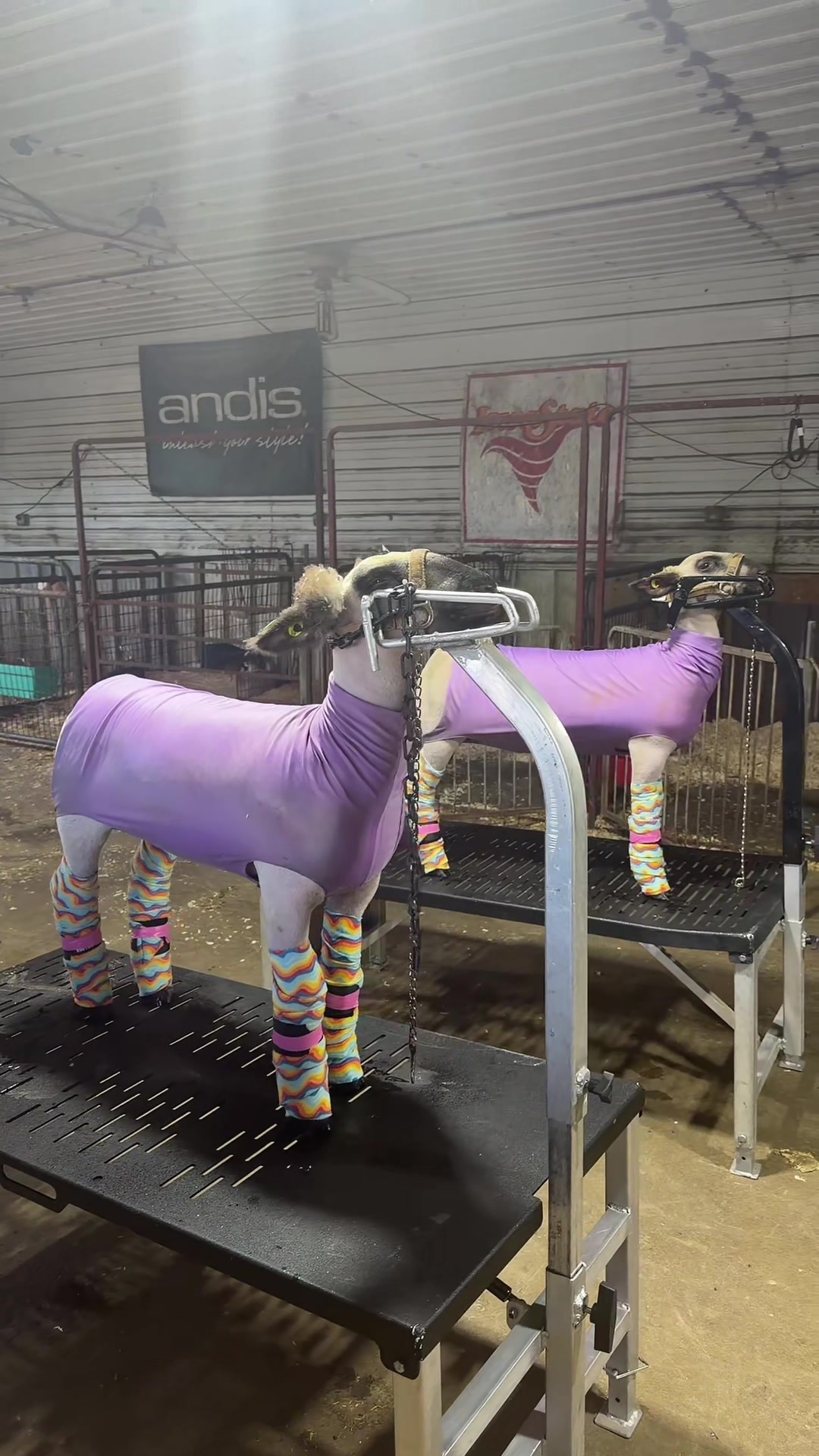 @ET Livestock